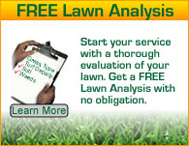 FREE Lawn Analysis